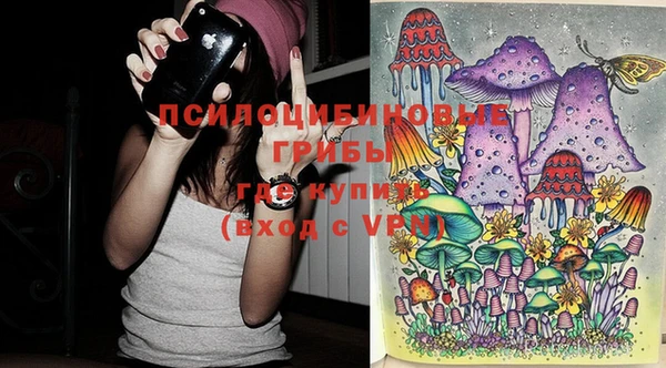 кокс Алзамай