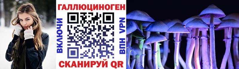Псилоцибиновые грибы GOLDEN TEACHER Пугачёв